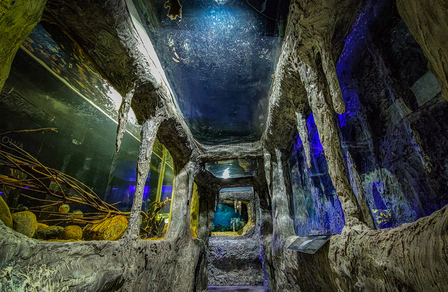 Akwarium – Podwodny Świat Zakopane