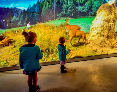 Czy warto jechać na Krupówki w Zakopanem? Co robić na Krupówkach?